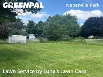 Lawn Cuttingin Naperville,60565,Lawn Mowing Service by Luna’s Lawn Care , work completed in Jun , 2026