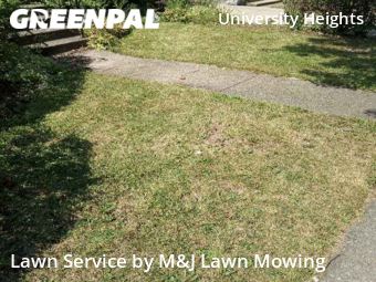 Yard Mowing nearby Buffalo, NY, 