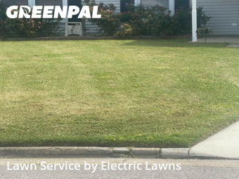 Yard Cutting nearby Virginia Beach, VA, 