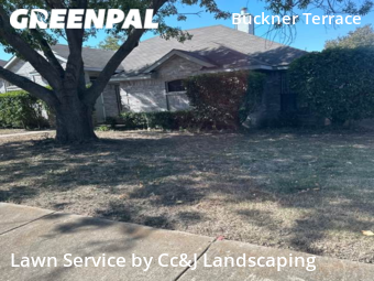 Lawn Care Service nearby Dallas, TX, 
