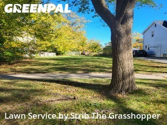 Lawn Cutting nearby Shaker Heights, OH, 