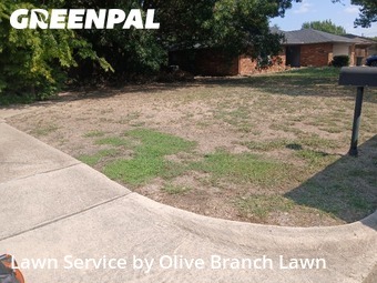 Lawn Cutin Keller,76248,Lawn Mowing by Olive Branch Lawn, work completed in Dec , 2025