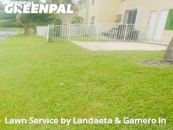 Grass Cut nearby Miramar, FL, 