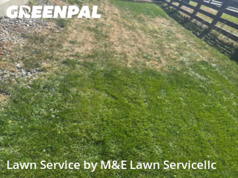 Lawn Mow nearby Aurora, CO, 
