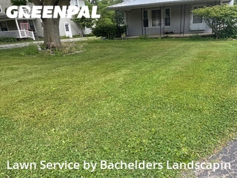 Lawn mowed in Ashland, 44805