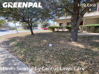 Lawn Care nearby Converse, TX, 