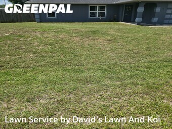 Lawn Mow nearby Ocala, FL, 