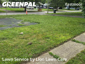 Lawn Mowing nearby Columbus, OH, 