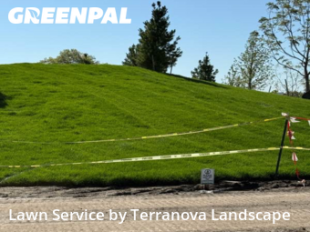Lawn Care in Woodridge, 60517, Lawn Work by Terranova Landscape, work completed in Nov , 2025