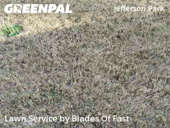 Lawn Maintenance nearby Atlanta, GA, 