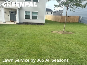 Lawn Cut nearby Aiken, GA, 