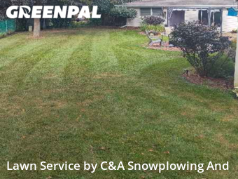 Lawn Mow nearby Schaumburg, IL, 