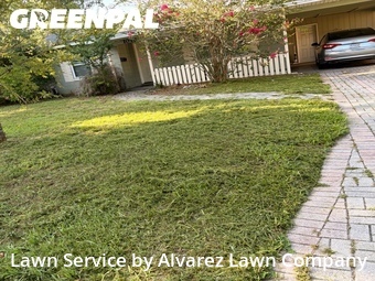 Lawn Servicein Orlando,32804,Lawn Mowing by Alvarez Lawn Company, work completed in Jun , 2026