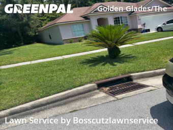 Yard Cutting nearby Jacksonville, FL, 