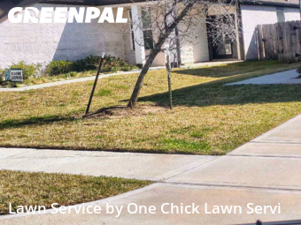 Lawn Service nearby Katy, TX, 