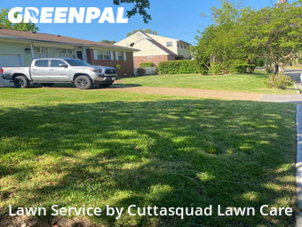 Lawn Cutting nearby Norfolk, VA, 