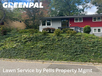 Lawn Maintenance nearby Ann Arbor, MI, 