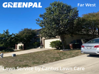 Grass Cut nearby San Antonio, TX, 