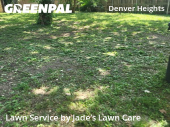 Lawn Care nearby San Antonio, TX, 