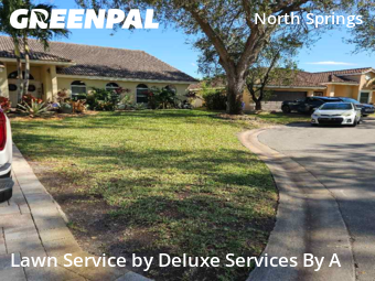 Lawn mowed in Coral Springs, 33076