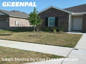Lawn Cut nearby Haslet, TX, 