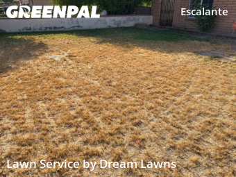 Grass Care in Tempe, 85281, Lawn Upkeep by Dream Lawns, work completed in Oct , 2025