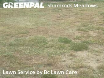 Grass Cutting nearby Raleigh, NC, 
