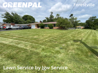 Grass Cutting nearby Cincinnati, OH, 