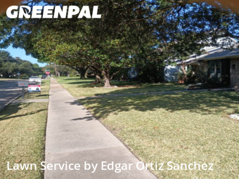 Lawn Cutin Richardson,75082,Yard Mowing by Edgar Ortiz Sanchez, work completed in Jan , 2026