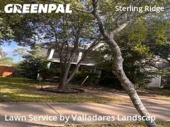 Lawn Carein The Woodlands,77382,Grass Cutting by Valladares Landscap, work completed in Oct , 2025