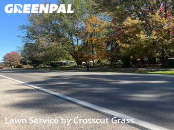 Grass Cut nearby Shelby Township, MI, 