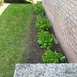 affordable-lawn-services-in-Schenectady-NY