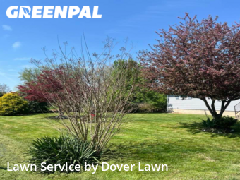 Lawn Cut nearby Dover, DE, 