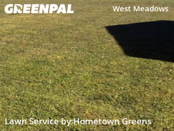 Grass Cuttingin Tampa,33647,Lawn Maintenance by Hometown Greens , work completed in Dec , 2025