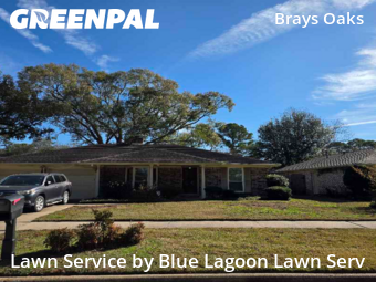 Grass Cuttingin Houston,77031,Yard Cutting by Blue Lagoon Lawn Serv, work completed in Feb , 2026