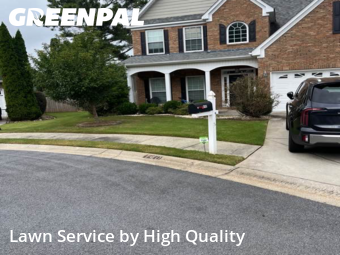 Yard Work in Peachtree City, 30269, Yard Mowing by High Quality , work completed in Dec , 2025