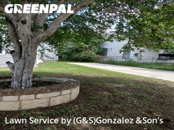 Grass Cutting nearby San Antonio, TX, 