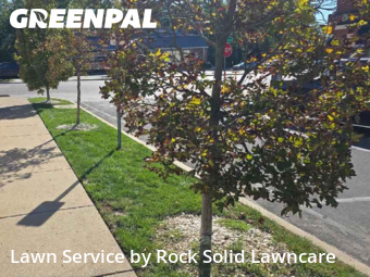 Yard Mowingin Clayton,63117,Lawn Mowing by Rock Solid Lawncare, work completed in Dec , 2025