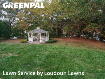 Yard Upkeep in Ashburn, 20147, Weekly Mowing by Loudoun Lawns, work completed in Nov , 2025