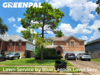 Lawn Cuttingin Stafford,77477,Lawn Mowing by Blue Lagoon Lawn Serv, work completed in Nov , 2025