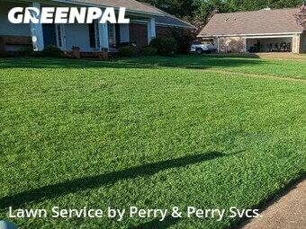 Lawn Cut nearby Madison, MS, 