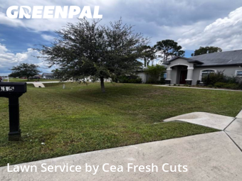 Yard Mowing nearby Ocala, FL, 