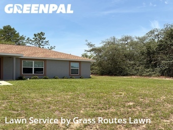 Lawn Mow nearby Ocala, FL, 