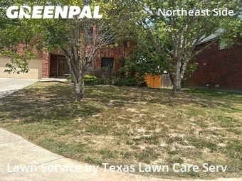 Lawn Mow nearby Schertz, TX, 