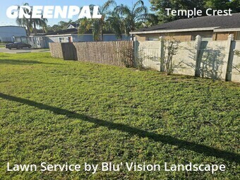 Lawn Cutting nearby Tampa, FL, 