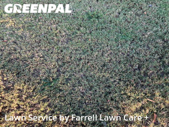Lawn Maintenance nearby Atlanta, GA, 