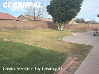 Commercial Landscaping In Mesa,85209,Landscape Design by Lawnpal, work completed in Feb , 2026