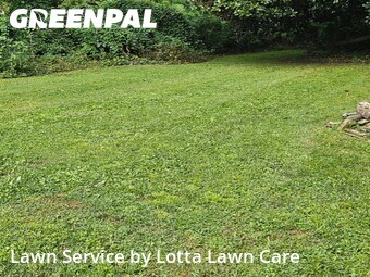 Grass Cut nearby Chattanooga, TN, 