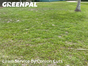 Grass Cut nearby Bradenton, FL, 