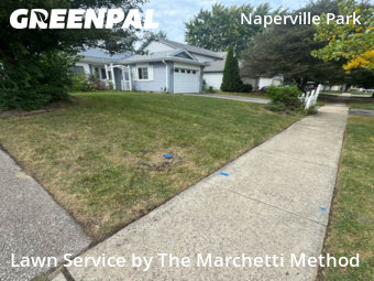 Lawn Mow nearby Naperville, IL, 